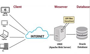 Apache Web Server