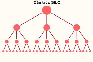 Cấu Trúc Silo