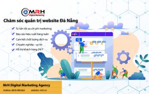 Chăm sóc quản trị website Đà Nẵng