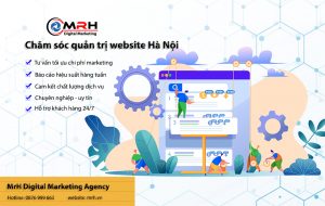 Chăm sóc quản trị website Hà Nội