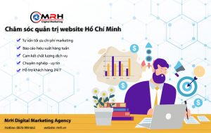 Chăm sóc quản trị website Hồ Chí Minh