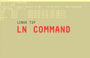 Tạo Symbolic Link trong Linux