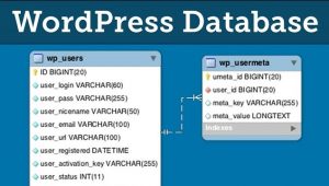 WordPress Database